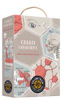 Xplore Team Gra Edukacyjna Ciało Człowieka 11+. Wydawca: Bright Junior Media. SmakLiter.pl Opakowanie Xplore Team Gra Edukacyjna Ciało Człowieka 11+