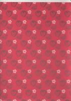 Zeszyt A5 w trzy linie kolorowe 16 kartek Truskawki 5 sztuk. Wydawca: Paso. SmakLiter.pl Opakowanie Zeszyt A5 w trzy linie kolorowe 16 kartek Truskawki 5 sztuk