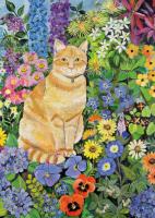 Opakowanie Karnet B6 z kopertą Gordon's cat