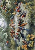 Opakowanie Karnet B6 z kopertą Musical Elf