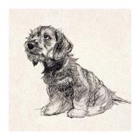 Opakowanie Karnet kwadrat z kopertą Puppy Love