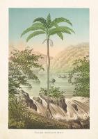 Opakowanie Karnet ST301 B6 + koperta Palma