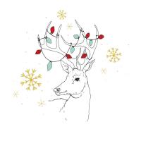 Opakowanie Karnet Swarovski kwadrat CL3212 Święta Renifer