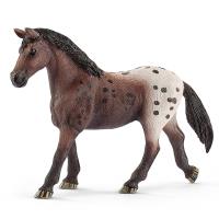 Opakowanie Klacz rasy Appaloosa