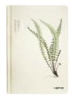 Opakowanie Notes A5/96K Paproć Duża