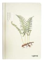 Opakowanie Notes A5/96K Paproć Mała