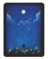 Opakowanie Notes A6/128K Noc Kot w Trawie