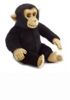 Szympans zwyczajny Pacynka. Wydawca: National Geographic. SmakLiter.pl Opakowanie Szympans zwyczajny Pacynka