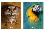 Opakowanie Teczka z gumką A4 Wild 5 sztuk