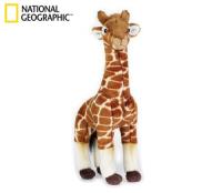 Żyrafa. Wydawca: National Geographic. SmakLiter.pl Opakowanie Żyrafa