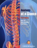 Anatomy at a Glance. Autor: Faiz Omar, Blackburn Simon, Moffat David. SmakLiter.pl Okładka książki Anatomy at a Glance