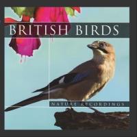 British Birds CD. Autor:   Praca zbiorowa. SmakLiter.pl Okładka książki British Birds CD
