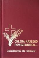 Chleba naszego powszedniego - modlitewnik. Autor:   Praca zbiorowa. SmakLiter.pl Okładka książki Chleba naszego powszedniego - modlitewnik