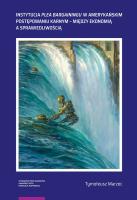 Okładka książki Instytucja plea bargainingu w amerykańskim postępowaniu karnym - między ekonomią a sprawiedliwością