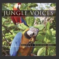 Jungle Voices CD. Wydawca: CD-CONTACT. SmakLiter.pl Opakowanie Jungle Voices CD