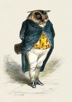 Opakowanie Karnet B6 z kopertą Owl Philosopher