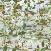 Opakowanie Karnet kwadrat z kopertą Synchronicity Wood Ducks