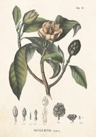 Opakowanie Karnet ST299 B6 + koperta Magnolia