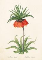 Opakowanie Karnet ST302 B6 + koperta Szachownica cesarska