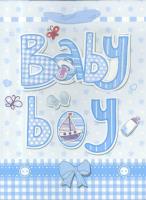Opakowanie Torebka prezentowa L Baby Boy 1331-03