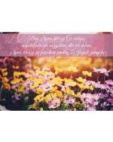 Opakowanie A Kartka składana - Bóg z tymi którzy go miłują