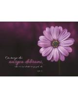 Opakowanie A Kartka składana - On twoje dni nasyca