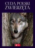 CUDA POLSKI ZWIERZĘTA. Autor: Anna Przybyłowicz. Łukasz Przybyłowicz. SmakLiter.pl Okładka książki CUDA POLSKI ZWIERZĘTA