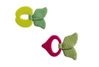 Gryzaki z ogrodu. Wydawca: Dumel. SmakLiter.pl Opakowanie Gryzaki z ogrodu