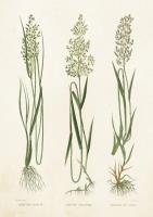 Opakowanie Karnet ST213 B6 + koperta Mietlica