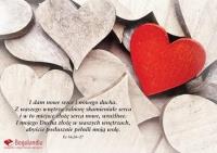 Kartka - I dam nowe serce i nowego.... Wydawca: Bogulandia. SmakLiter.pl Opakowanie Kartka - I dam nowe serce i nowego...