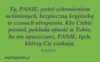 Magnes 35 na lodówkę - Ty, PANIE, jesteś.... Wydawca: Bogulandia. SmakLiter.pl Opakowanie Magnes 35 na lodówkę - Ty, PANIE, jesteś...