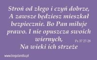 Magnes 43 na lodówkę -Stroń od złego i czyń dobrze. Wydawca: Bogulandia. SmakLiter.pl Opakowanie Magnes 43 na lodówkę -Stroń od złego i czyń dobrze