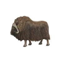 Opakowanie Piżmowół arktyczny