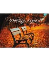 Opakowanie A Kartka składana - Dziękuję że jesteś