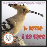 Okładka książki Czytam mamie i tacie. W lesie i na łące + karty