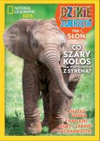 Dzikie zwierzęta T.1 Słoń. Autor: Opracowanie zbiorowe. SmakLiter.pl Okładka książki Dzikie zwierzęta T.1 Słoń