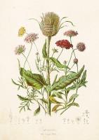 Opakowanie Karnet ST312 B6 + koperta Szczeć