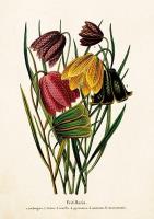 Opakowanie Karnet ST320 B6 + koperta Szachownica