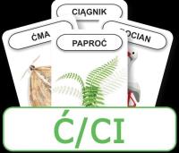 Logopedyczny Piotruś. Część XI - głoska Ć/CI. Wydawca: KOMLOGO. SmakLiter.pl Opakowanie Logopedyczny Piotruś. Część XI - głoska Ć/CI