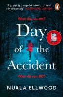 Day of the Accident. Autor: Ellwood Nuala. SmakLiter.pl Okładka książki Day of the Accident