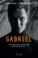 Gabriel. Autor: J. Lynn (Jennifer L. Armentrout). SmakLiter.pl Okładka książki Gabriel