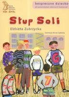 Słup soli - Elżbieta Zubrzycka. Autor: Elżbieta Zubrzycka. SmakLiter.pl Okładka książki Słup soli - Elżbieta Zubrzycka