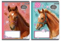 Zeszyt A5 w kratkę 16 kartek Nice and pretty 10 sztuk. Wydawca: Beniamin. SmakLiter.pl Opakowanie Zeszyt A5 w kratkę 16 kartek Nice and pretty 10 sztuk