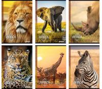 Opakowanie Zeszyt A5 w linie 54 kartki Africa 10 sztuk