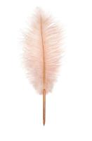 Opakowanie Długopis różowe pióro