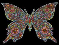 Opakowanie Kolorowanka Welwetowa 47x35 Motyl