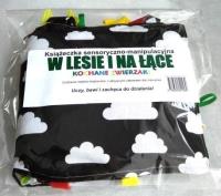 Okładka książki Książeczka sens.-manipulacyjna. W lesie i na łące