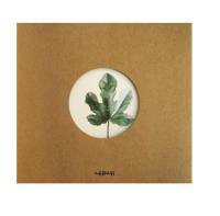 Opakowanie Notes B5/80K eko Klon