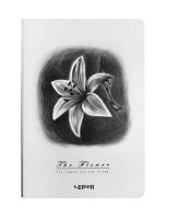 Opakowanie Notes B6/96K Lilia