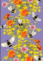 Opakowanie Notes Gee Bzzz B5 gładki NARCISSUS